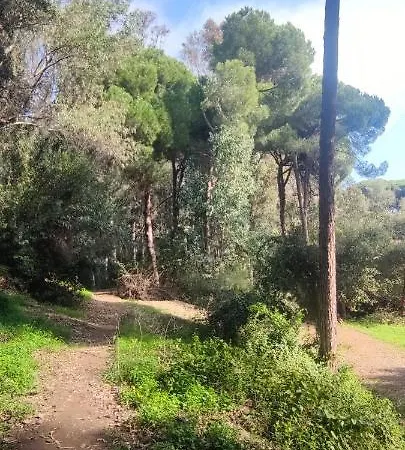 Beach Forest Paradise Marbella Exterior photo