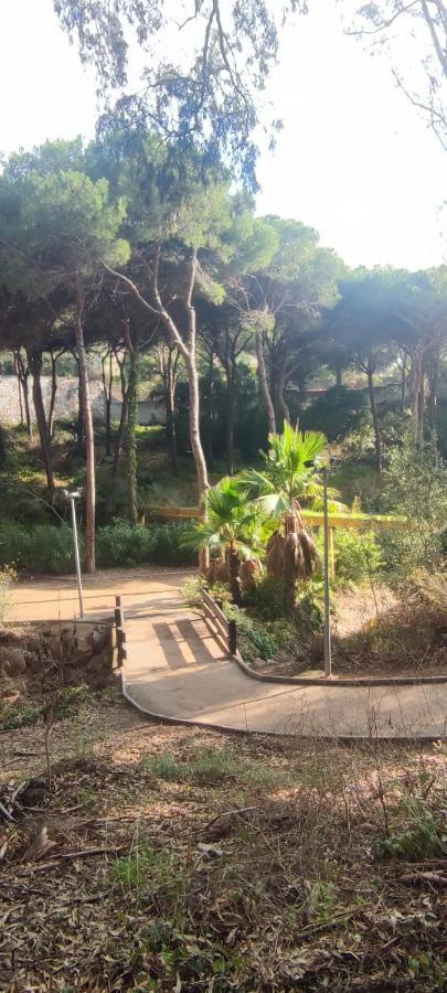 Forest Paradise * Marbella