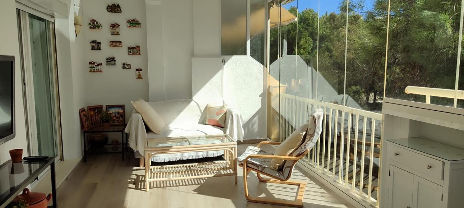 Forest Paradise Apartment